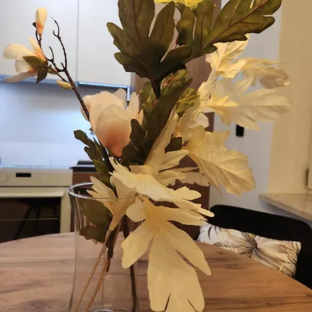 Jacuzzi & Sauna Bemowo *