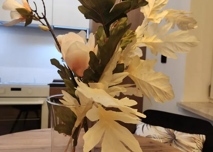 Jacuzzi & Sauna Bemowo *